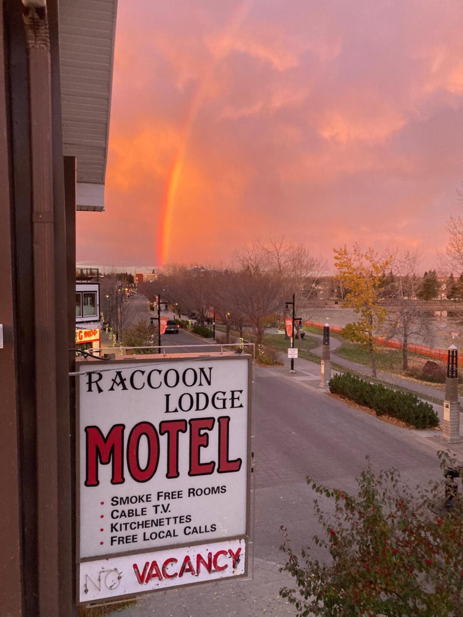 Raccoon Lodge Motel Sylvan Lake Exterior foto
